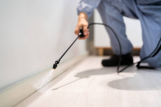 Licensed Termite Control service in Hornsby Bend, TX - Nex Pest Control