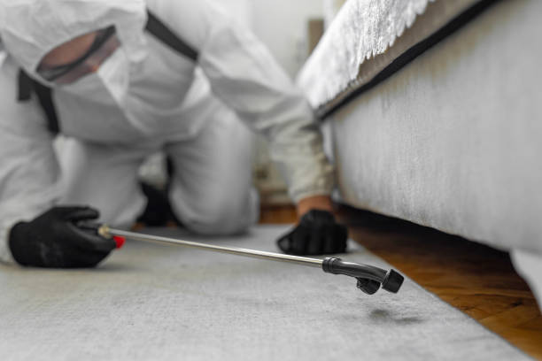 Professional Termite Control technician working in Hornsby Bend, TX
